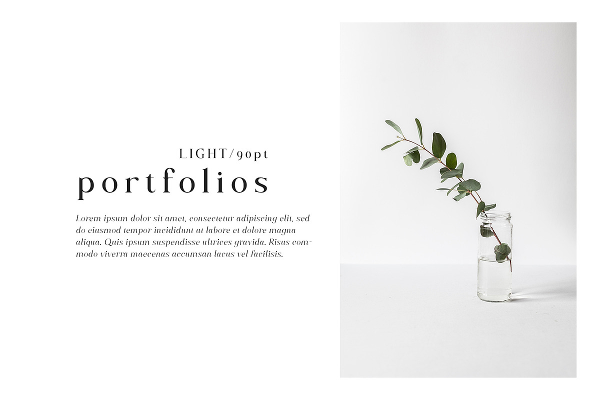 Along Serif BSC Font Family, a Serif Font by Ryul Davidson (Photo 10 of 13)