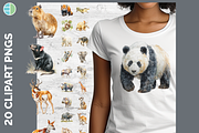 Safari Animal Illustration Bundle, an Animal Illustration by Enliven Designs (Thumbnail 1 of 8)