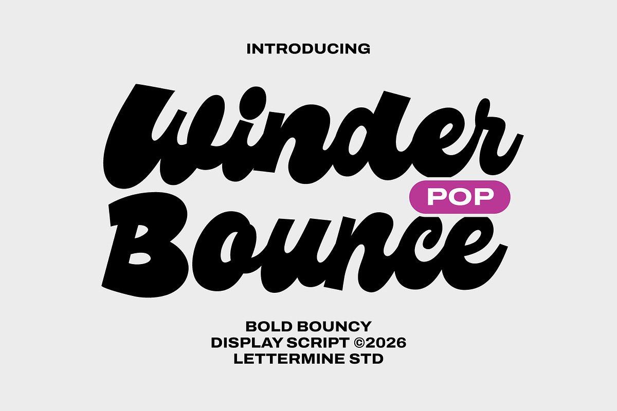 Winder Pop Bounce – Display Script, a Script Font by Lettermine (Photo 1 of 8)
