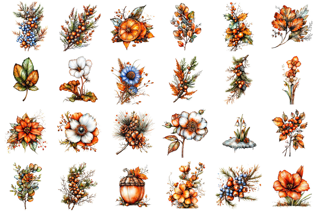 Winter Botanicals Watercolor Clipart, an Illustration by designcity5 (Photo 2 of 5)