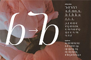 Edensor Pro – Romantic Luxury Serif, a Serif Font by FactoryType Studio (Thumbnail 6 of 12)