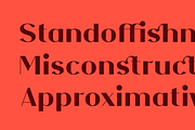NF Elena Font, a Sans Serif Font by NicolassFonts (Thumbnail 2 of 5)