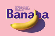 Greenstyle Great Vibes Casual Font, a Sans Serif Font by Parker Creative (Thumbnail 7 of 9)