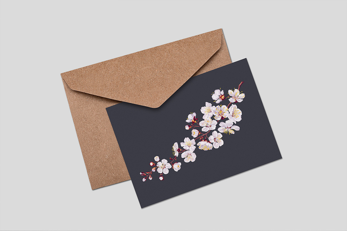 Apricot Branches Big Floral Set, an Illustration by MarynaPetrovska (Photo 14 of 23)