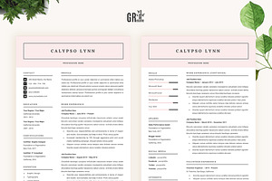 Resume Template For Microsoft Word