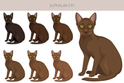 Suphalak cat clipart, an Animal Illustration by pet design shop (Thumbnail 3 of 6)