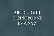 Womack Modern Classic Serif Font, a Serif Font by UICreative (Thumbnail 5 of 12)