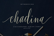 Calligrapher's  Font Bundle (98%Off), a Script Font by Genesis Lab (Thumbnail 14 of 44)