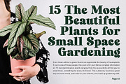 Laurens Soft Serif Display Font, a Serif Font by Letteralle Studios (Thumbnail 7 of 10)