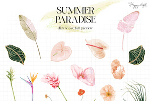 Summer Paradise Floral Clipart