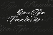 Denita Script, a Script Font by Solidtype (Thumbnail 5 of 7)