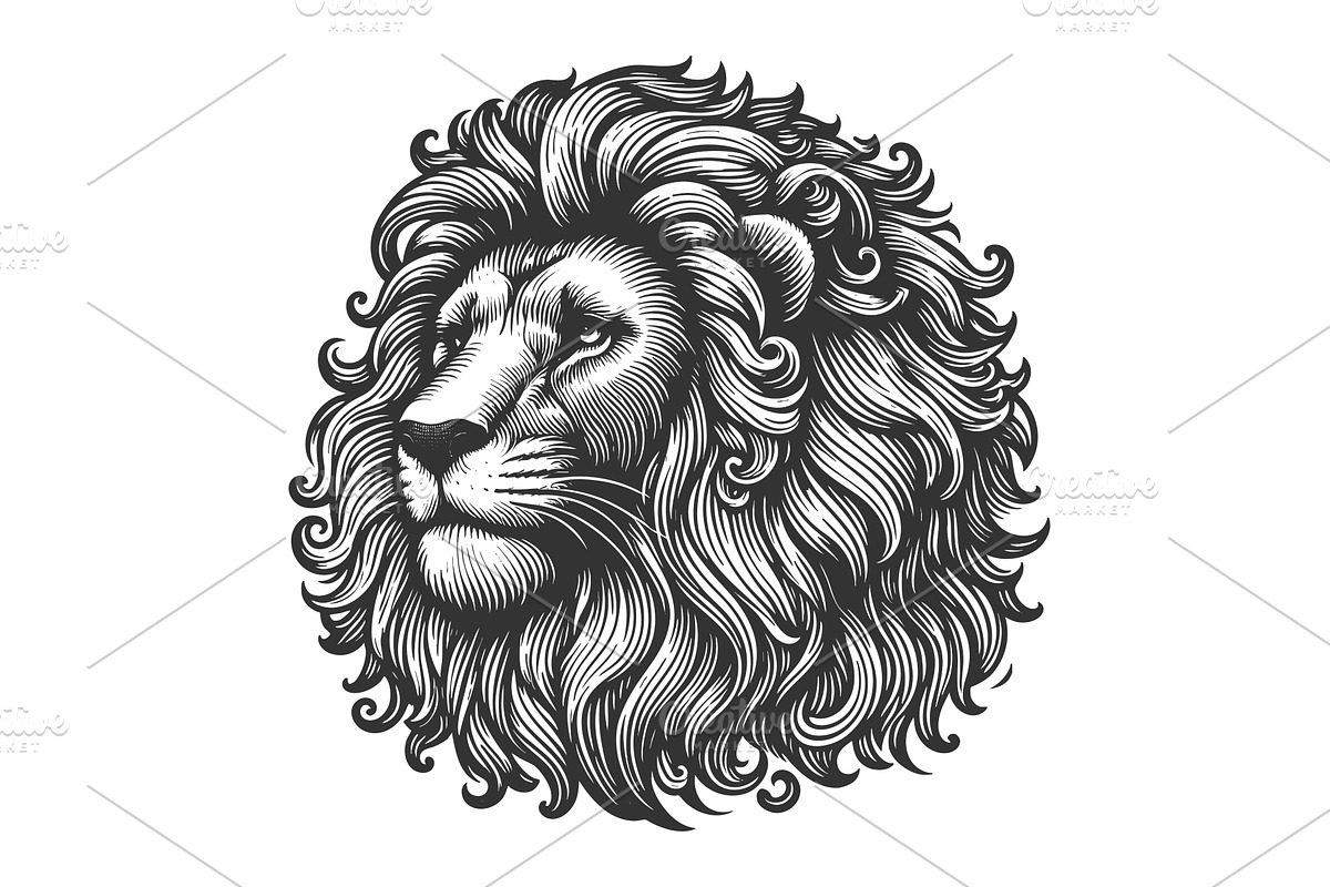 lion head with mane engraving sketch, an Animal Illustration by AlexArt