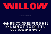 Campinas Typefamily, a Serif Font by Jehoo Creative (Thumbnail 8 of 9)