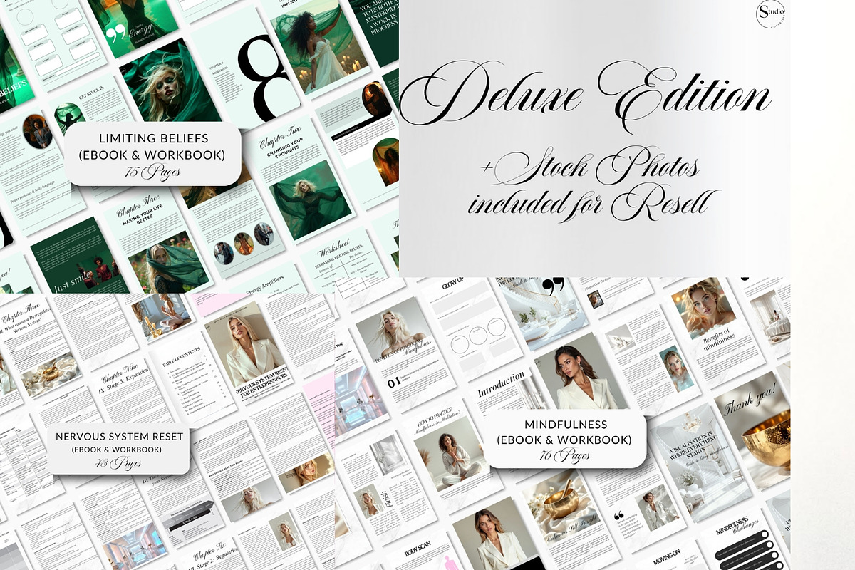 Coaching Bundle EBooks mrr plr, a Brochure Template by CopertiniStudio (Photo 10 of 10)
