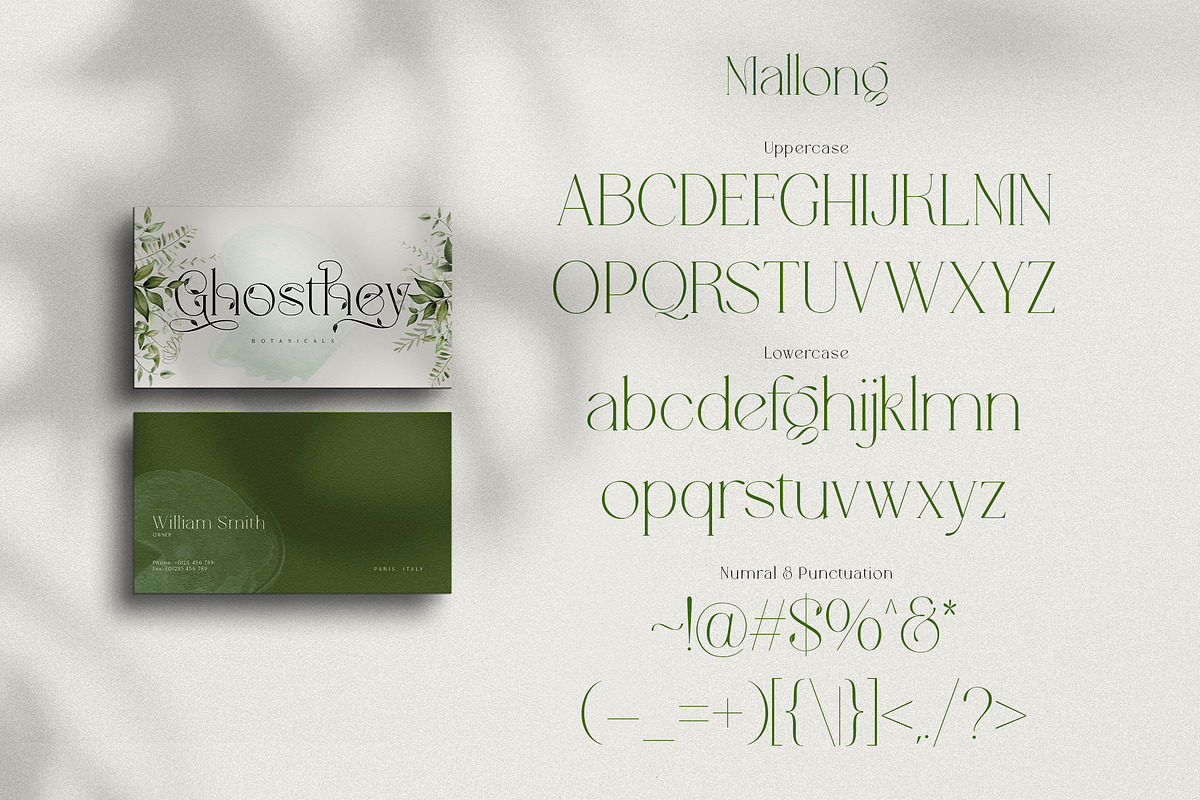 Mallong Typeface, a Serif Font by alit design (Photo 5 of 17)