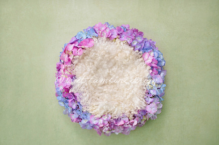 Digital Backdrop Newborn Photography preview 4