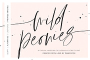 Wild Peonies | Stylish Modern Font, a Script Font by Pink Coffie (Thumbnail 1 of 16)
