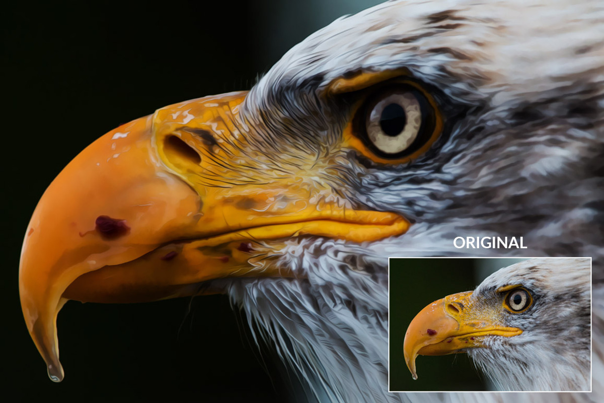 PRO Photoshop Actions Bundle, an Action Add-On by LUXDesignStudios (Photo 13 of 18)
