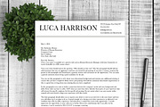 Professional Resume Template, a Resume Template by Resume Template Shoppe (Thumbnail 4 of 5)