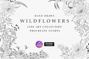 Procreate Wildflower Floral Line Art, a Brush Add-On by AW Studios (Thumbnail 1 of 4)