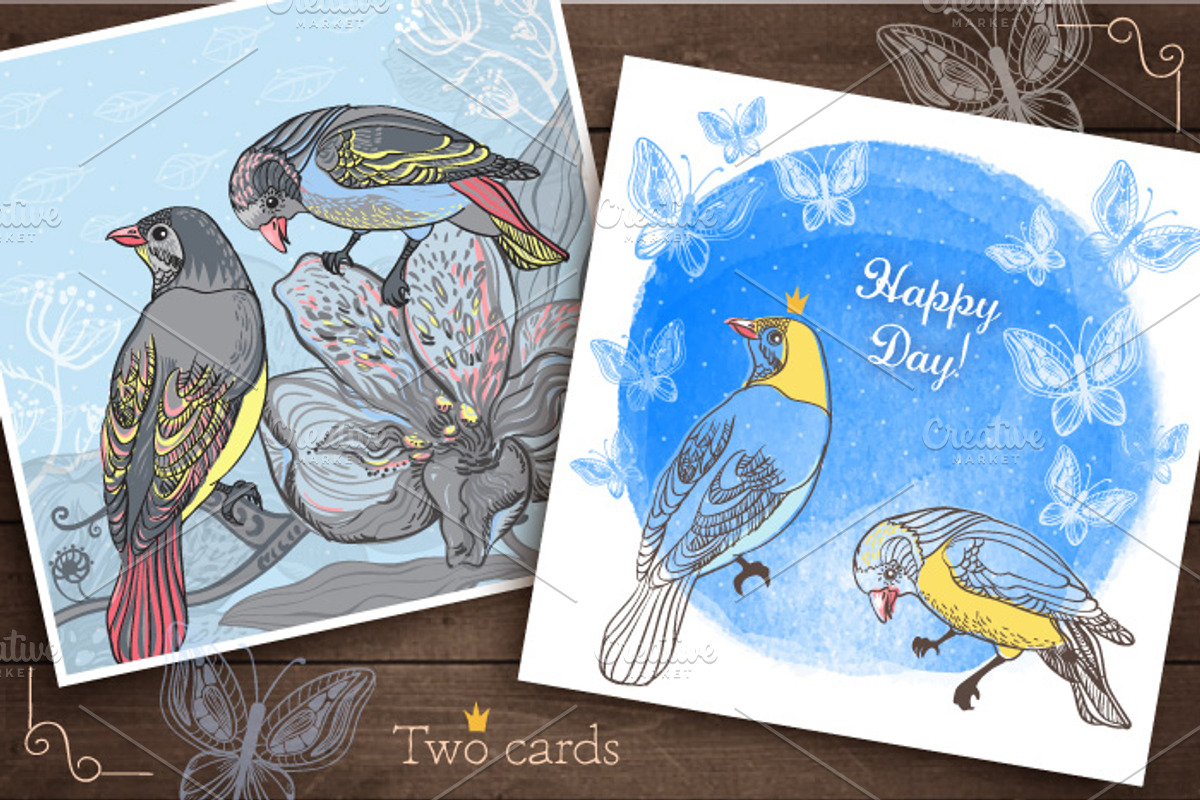 Beautiful birds preview 5