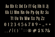 Duston Black Vintage Display Font, a Serif Font by Serbaneka Studio (Thumbnail 4 of 6)