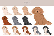 Bichpoo (Bichon Frise Poodle mix), an Animal Illustration by pet design shop (Thumbnail 2 of 6)