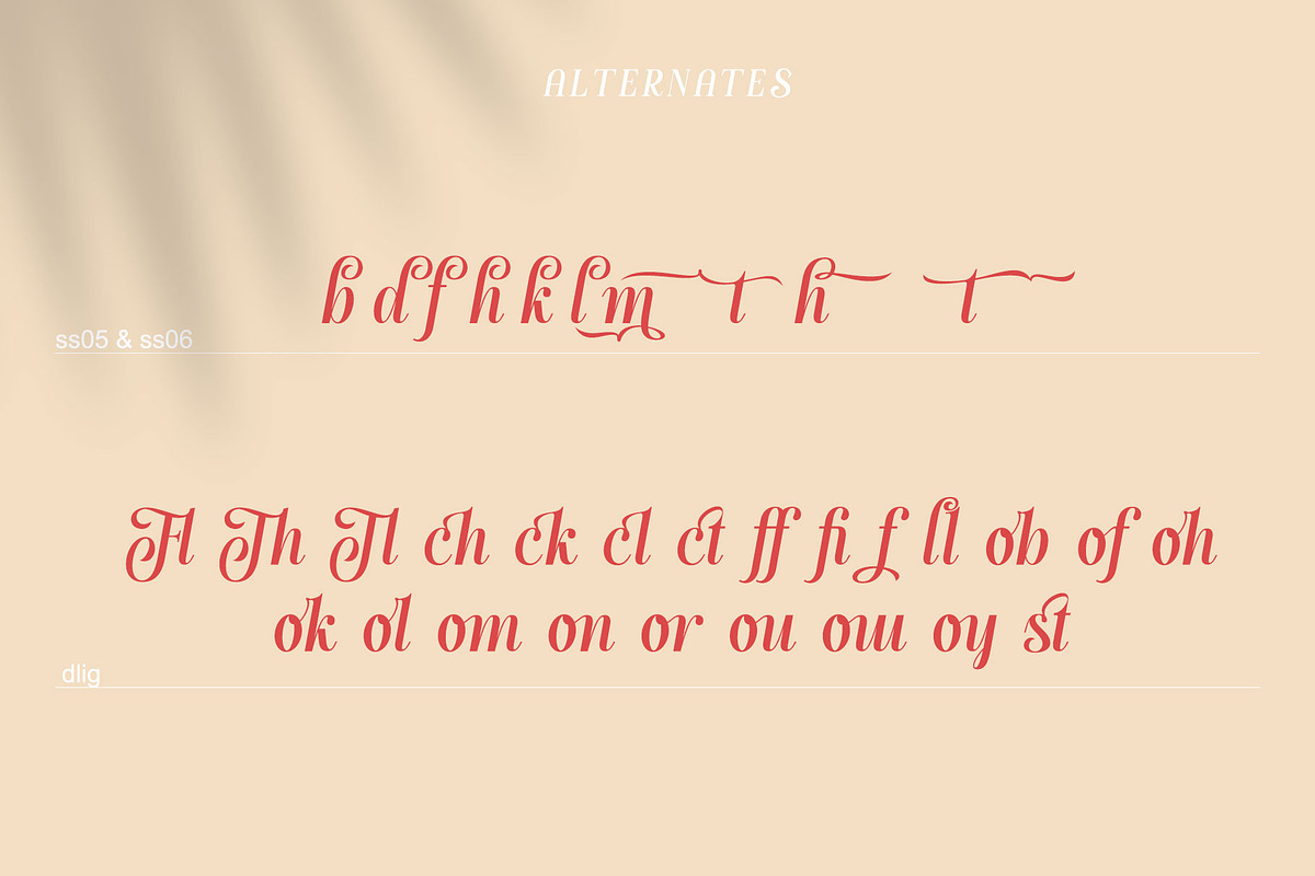 Handy Quomte, a Script Font by alit design (Photo 8 of 18)