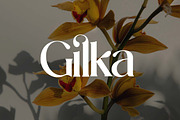 Kingsley Luminox Luxury Serif Font, a Serif Font by UICreative (Thumbnail 12 of 13)