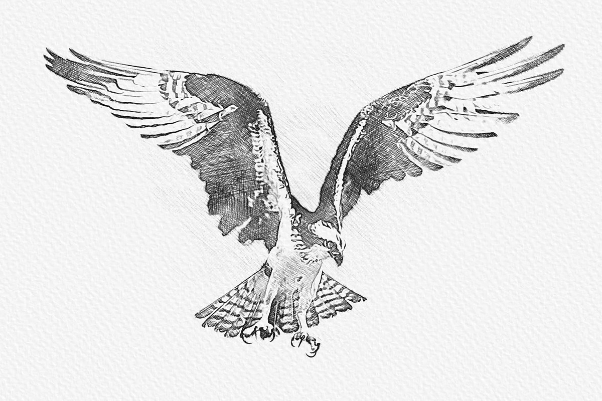 Professional Sketch Maker Photoshop, an Action Add-On by MRI STUDIO (Photo 17 of 17)