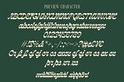 Criden | Display Script, a Script Font by Lemonthe (Thumbnail 8 of 8)