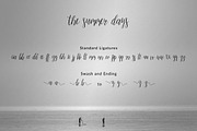 the summer days, a Script Font by Firtana (Thumbnail 11 of 12)