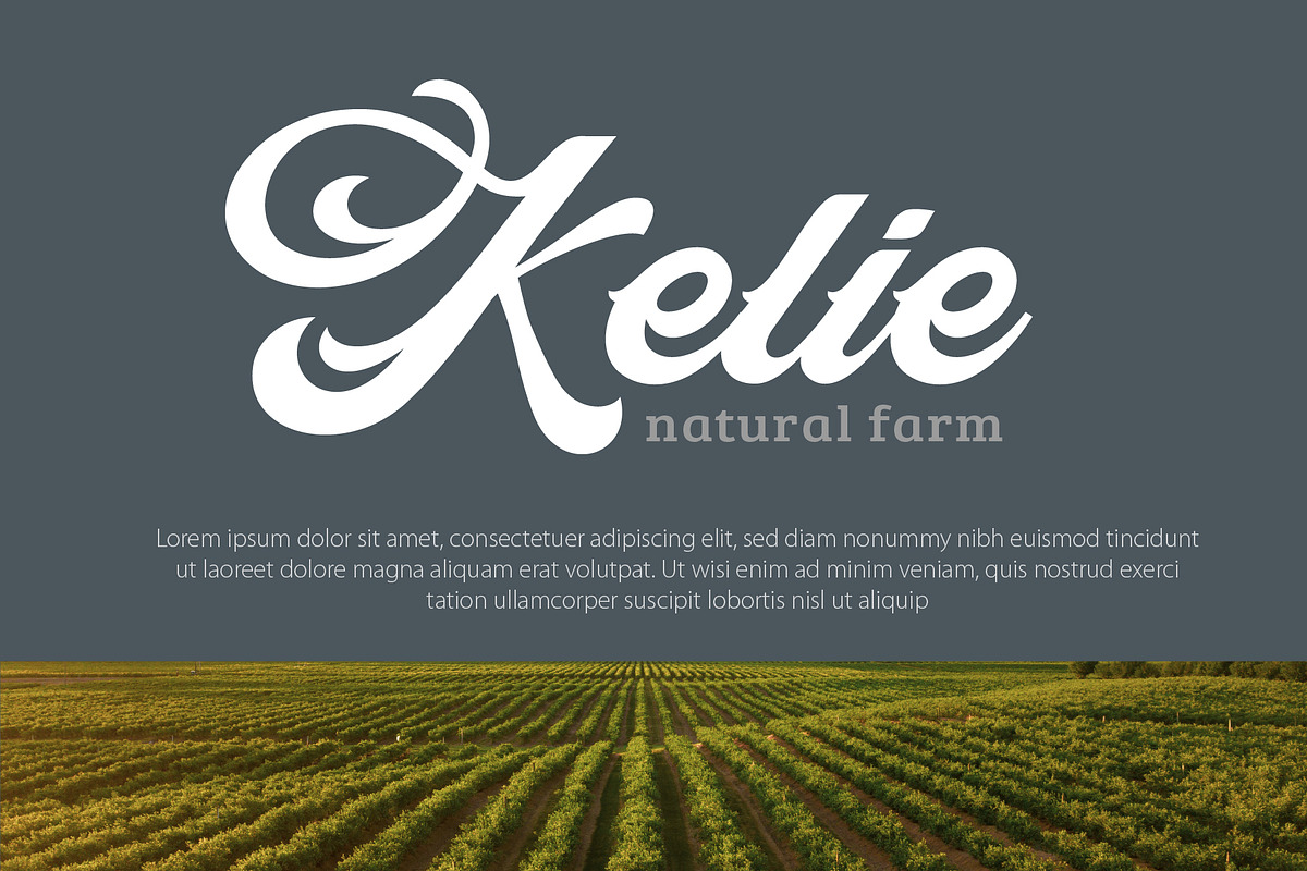Abine - Display Script, a Script Font by Olexstudio (Photo 7 of 7)