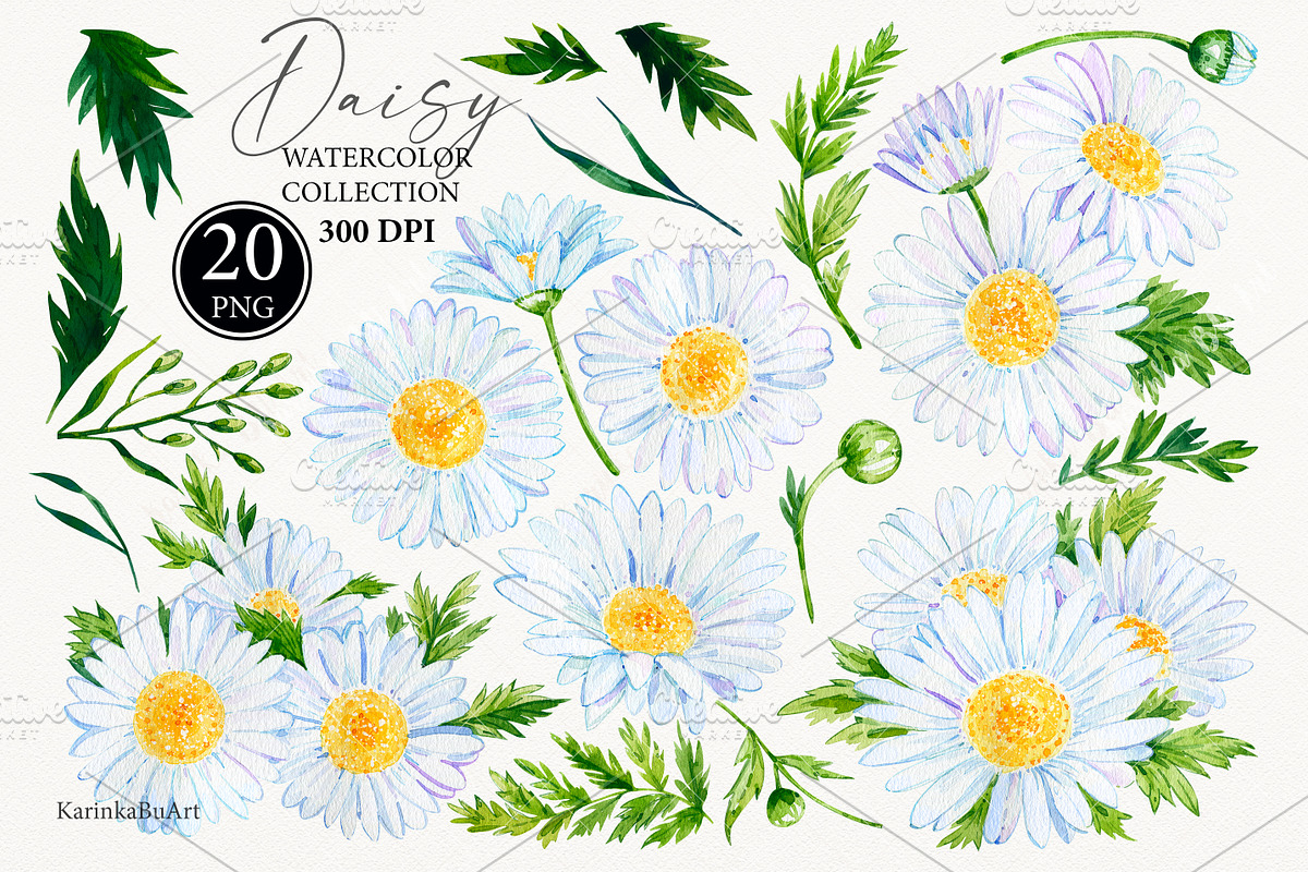 Watercolor Daisy flower clipart 20, an Object Graphic by KarinkaBU (Photo 3 of 5)