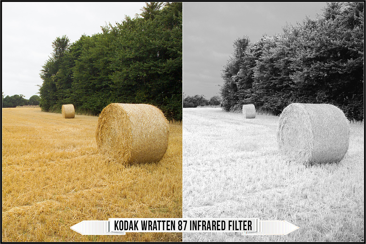 Infrared & Ultraviolet Monochrome v3, a Plug-in Add-On by Raztrend (Photo 27 of 30)