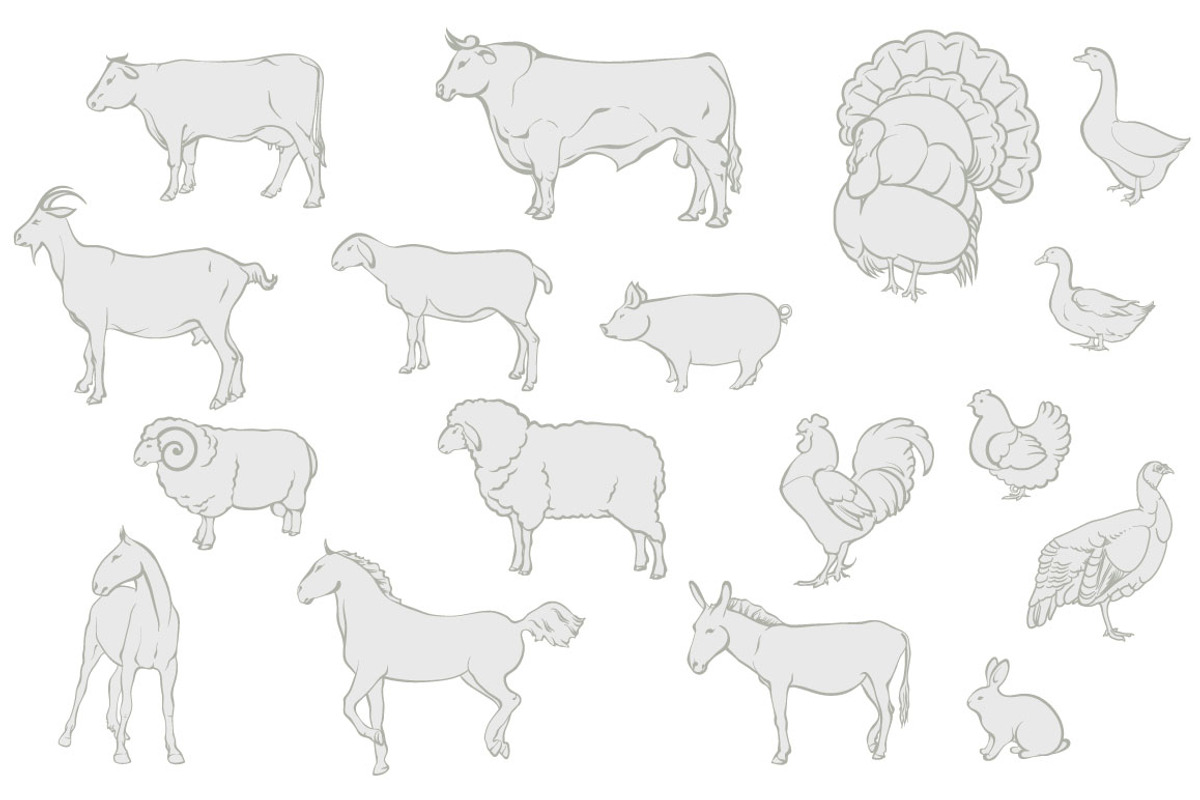 Farm animals, an Object Graphic by ArtOwl (Photo 7 of 8)