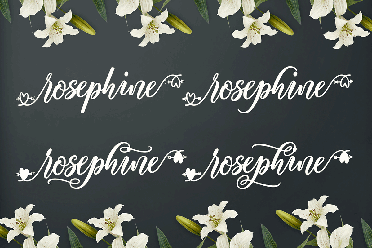 Rosalyna Script, a Script Font by Meutuwah (Photo 5 of 5)