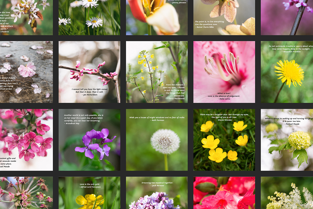 Flower Therapy Instagram Posts, a Social Media Template by minersgold (Photo 4 of 7)