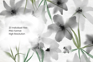 Grey Watercolour Flowers Clipart