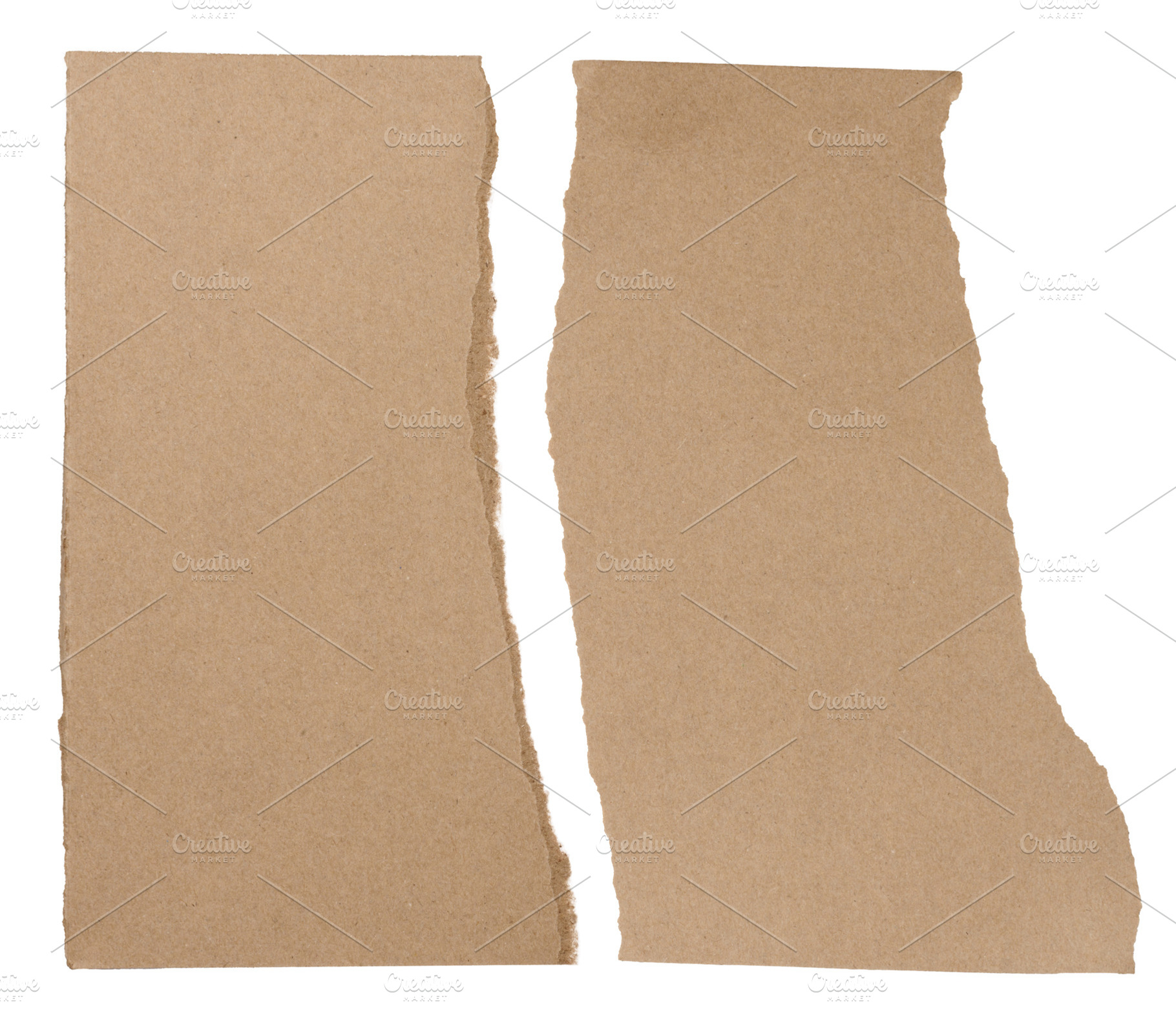 Torn piece of brown cardboard on a white isolated background, cl, an Animal Photo by ndanko