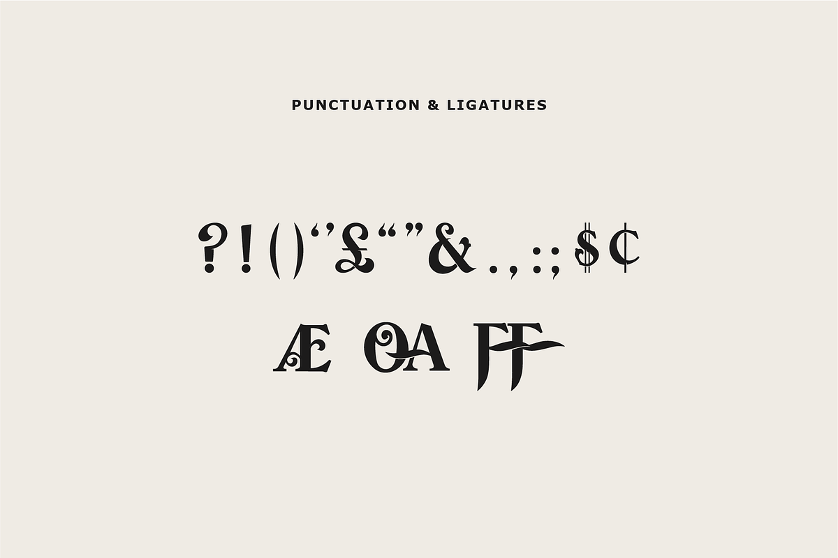 Wolff Swash - Bold Serif Font, a Serif Font by Wolff Design Co. (Photo 6 of 8)