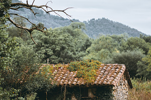 Overgrown stone cottage in meadow, an Architecture Photo by SkyNext