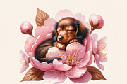 FUN PARTY DACHSHUND CLIPART PACK, an Animal Illustration by Daring Digies (Thumbnail 3 of 7)