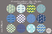 SHARK ATTACK VECTOR BUNDLE, an Illustration by Hello Talii (Thumbnail 5 of 9)
