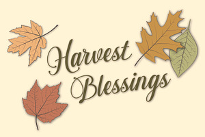 Harvest Blessings Calligraphy Quote