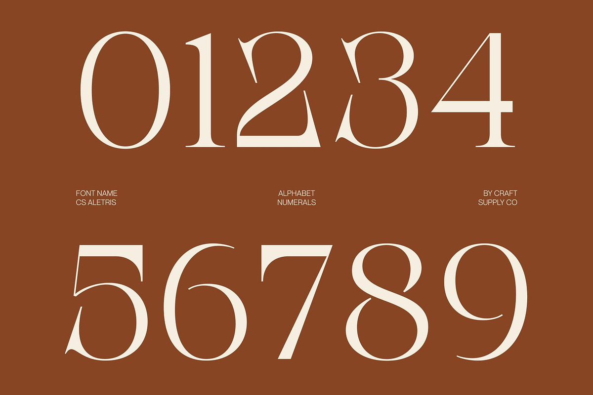 CS Aletris – Modern Serif Font, a Serif Font by Craft Supply Co. (Photo 6 of 8)