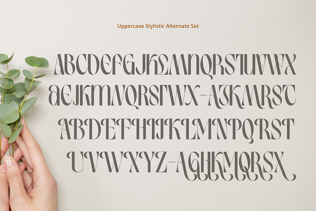 Birletus Display Font duo, a Sans Serif Font by executypeStudio (Photo 9 of 11)