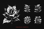 10 Bundle Dark Art Aglonema Botani, an Illustration by Morspective (Thumbnail 5 of 7)