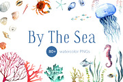 By The Sea – Watercolor Collection, an Illustration by SophieLittleEye (Thumbnail 1 of 12)