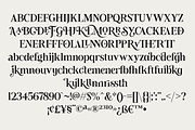 Tiramisu Sausage Rolls Serif, a Serif Font by Viswell (Thumbnail 11 of 11)
